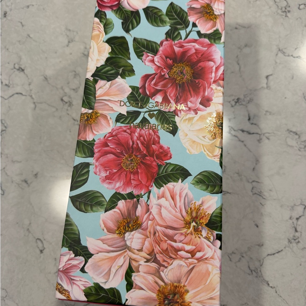 New Dolce & Gabbana Havaianas Ballet Rose Sandals, Size 7 W, 6 M